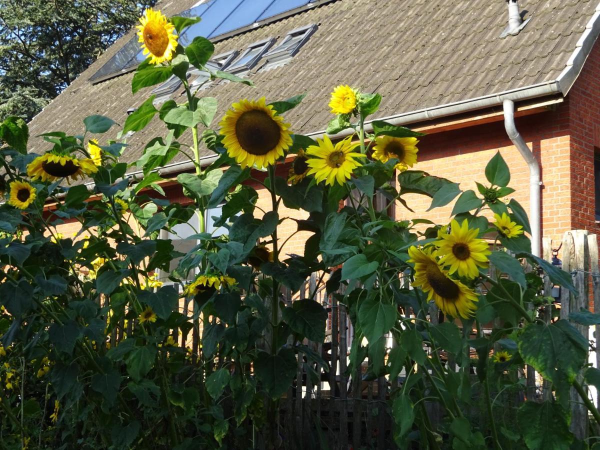 Peanuts Hostel & Meer Surendorf ภายนอก รูปภาพ