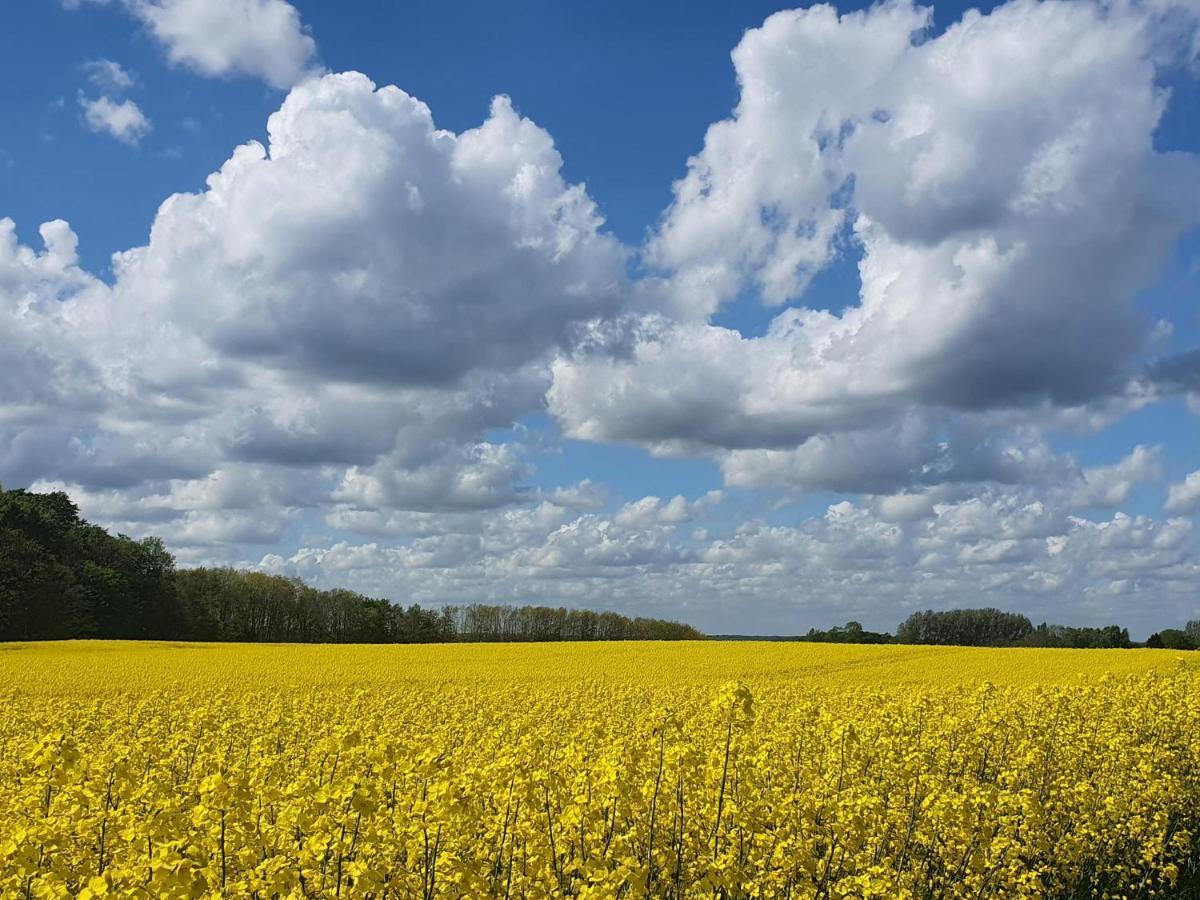 Peanuts Hostel & Meer Surendorf ภายนอก รูปภาพ